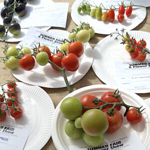 010 - 1 Truss Tomatoes