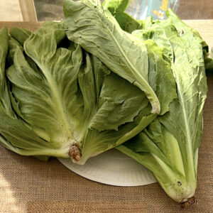 011 - 2 Lettuces