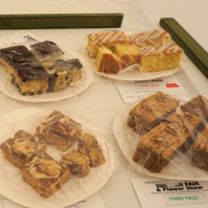 111 - 4 Slices of Traybake