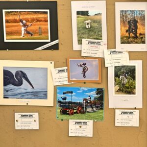 139 - Best Action Photograph