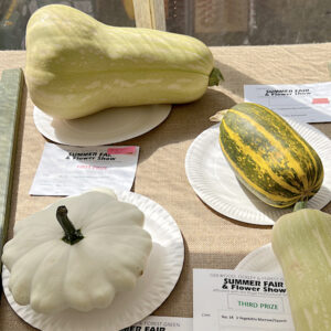 014 - 1 Vegetable Marrow/Squash