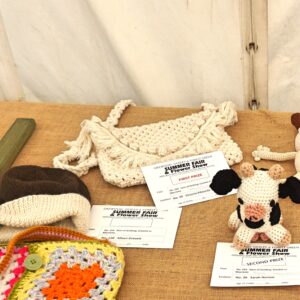 154 - Item of Knitting or Crochet or Macrame