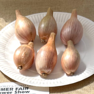017 - 6 Shallots
