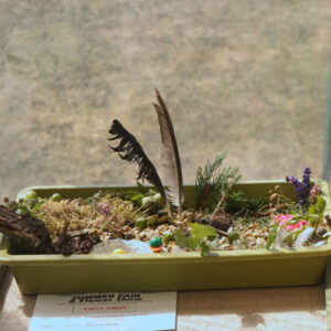 177 - Miniature Garden in a Seed Tray (5-7)