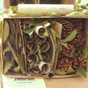 179 - Bug House (5-7)