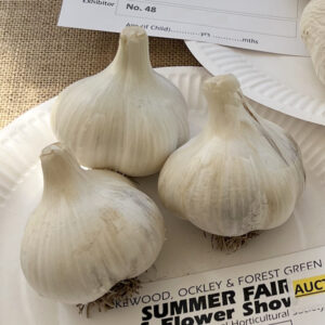 018 - 3 Bulbs of Garlic