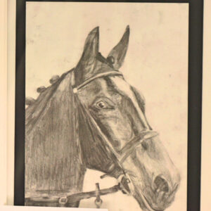 196 - Portrait of a Pet  (12-16)