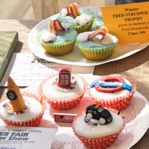 199 - Fred Strudwick Trophy - 4 Decorated Cup Cakes