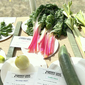 020 - Any Other Vegetable