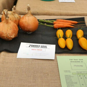 202 - NEWBRIDGE TOP TRAY AWARD