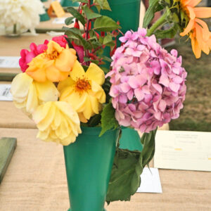 203 - NEWBRIDGE TOP VASE AWARD