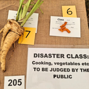 205 - DISASTER CLASS