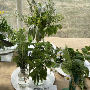 022 - 4 Different Herbs