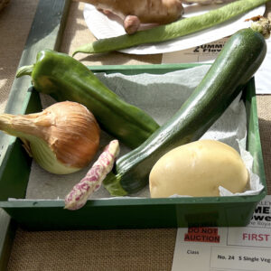 024 - 5 Single Vegetables all different