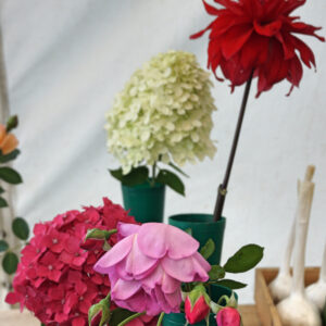 030 - Single Bloom/Spike, Any Other Flower **