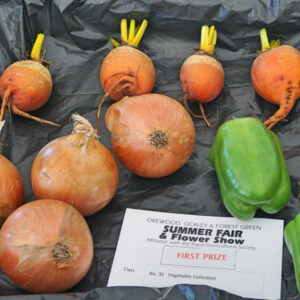 031 - Vegetable Collection *