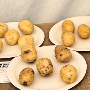 032 - Potato Collection *