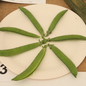 033 - 7 Pea Pods