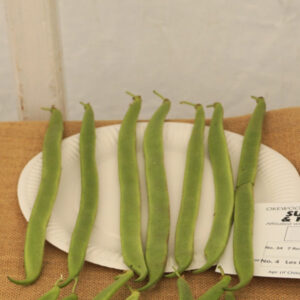 034 - 7 Runner Beans