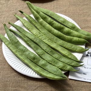 004 - 9 Runner Beans