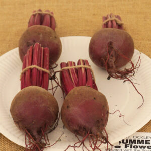 042 - 4 Beetroot