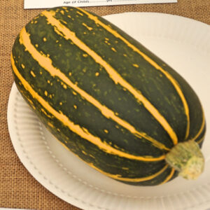 043 - 1 Vegetable Marrow