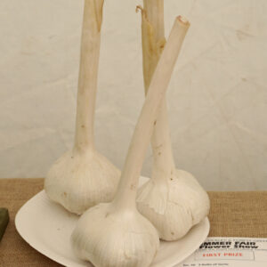 056 - 3 Bulbs of Garlic