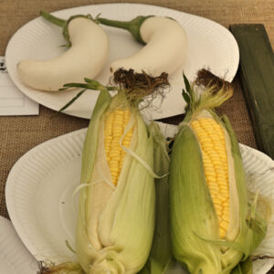 057 - Any Other Vegetable *