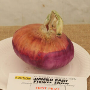 058 - Heaviest Onion