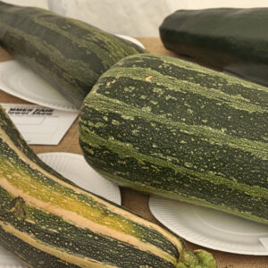 059 - Heaviest Marrow