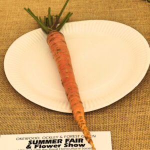 061 - Longest Carrot