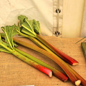 062 - 5 Stalks of Rhubarb