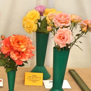 065 - 3 Rose stems, Floribunda**