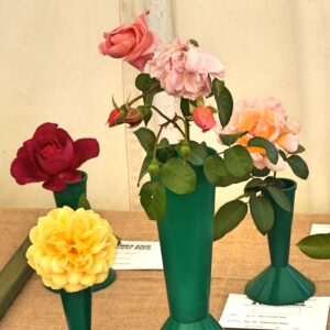 067 - Most scented rose **