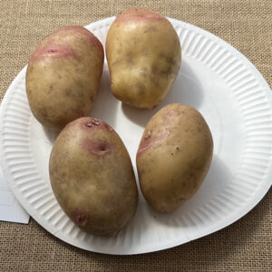 007 - 4 Potatoes - coloured