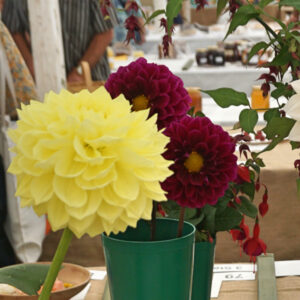 073 -A Vase of 3 Any Other Dahlias**