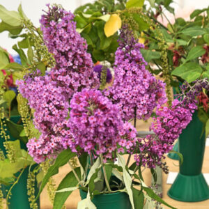 078 - 5 Flowering Shrub Stems**