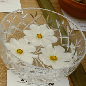 080 - Floating Flowers