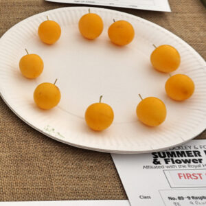 088 -9 Plums, Greengages or Damsons