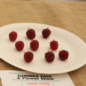 089 - 9 Raspberries