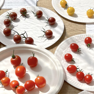 009 - 10 Tomatoes, Cherry/Small Fruited
