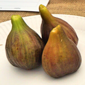 090 - Any Other Fruit