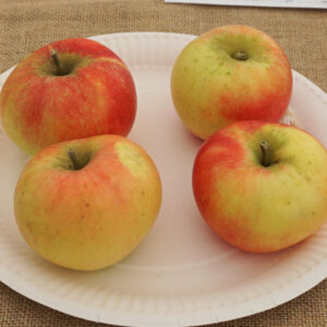 091 - 4 Dessert Apples