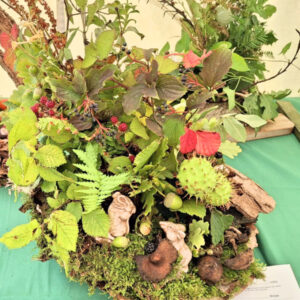 092 -“Woodland Walk”:exhibit in/on a log