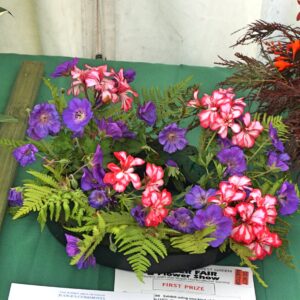 094 - Exhibit using one kind of flower in a 25cm (10”) ring