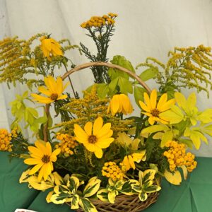 095 - Exhibit using shades of yellow