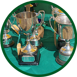 DIVISION J: SPECIAL AWARDS & TROPHIES