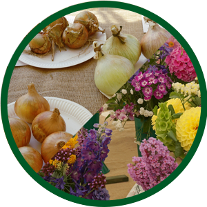 DIVISION A: VEGETABLES & FLOWERS – NOVICE